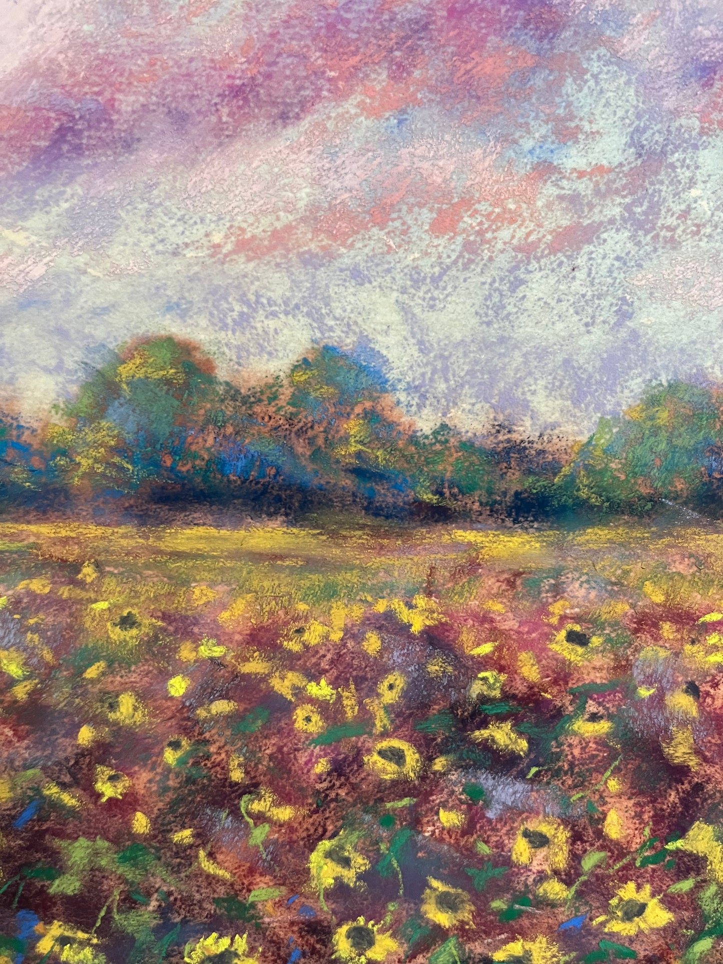 “Bloomed Comfort”