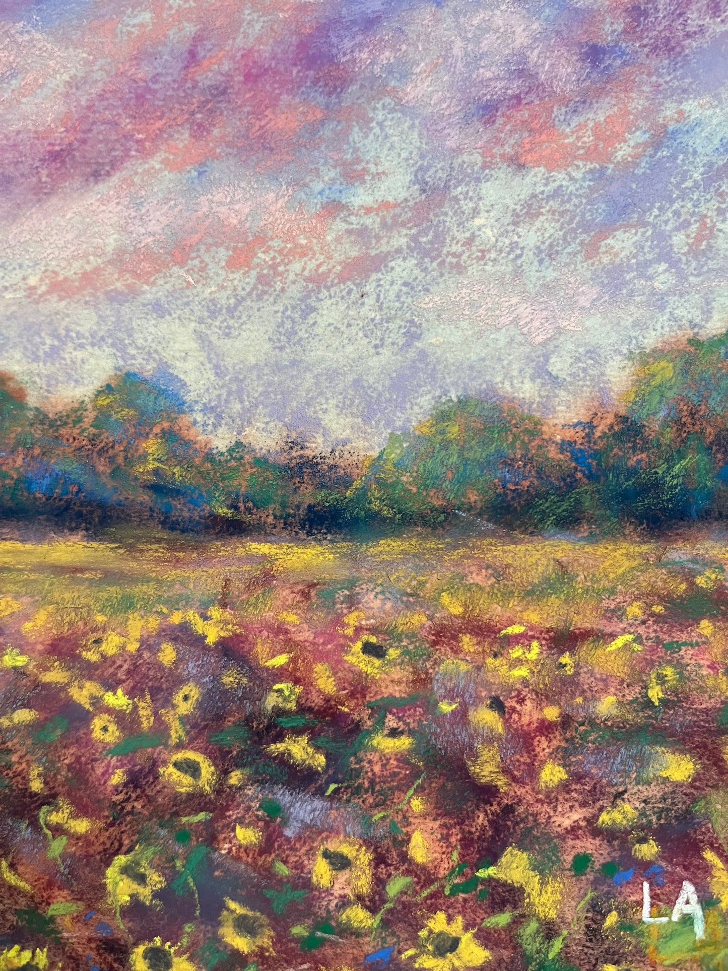“Bloomed Comfort”
