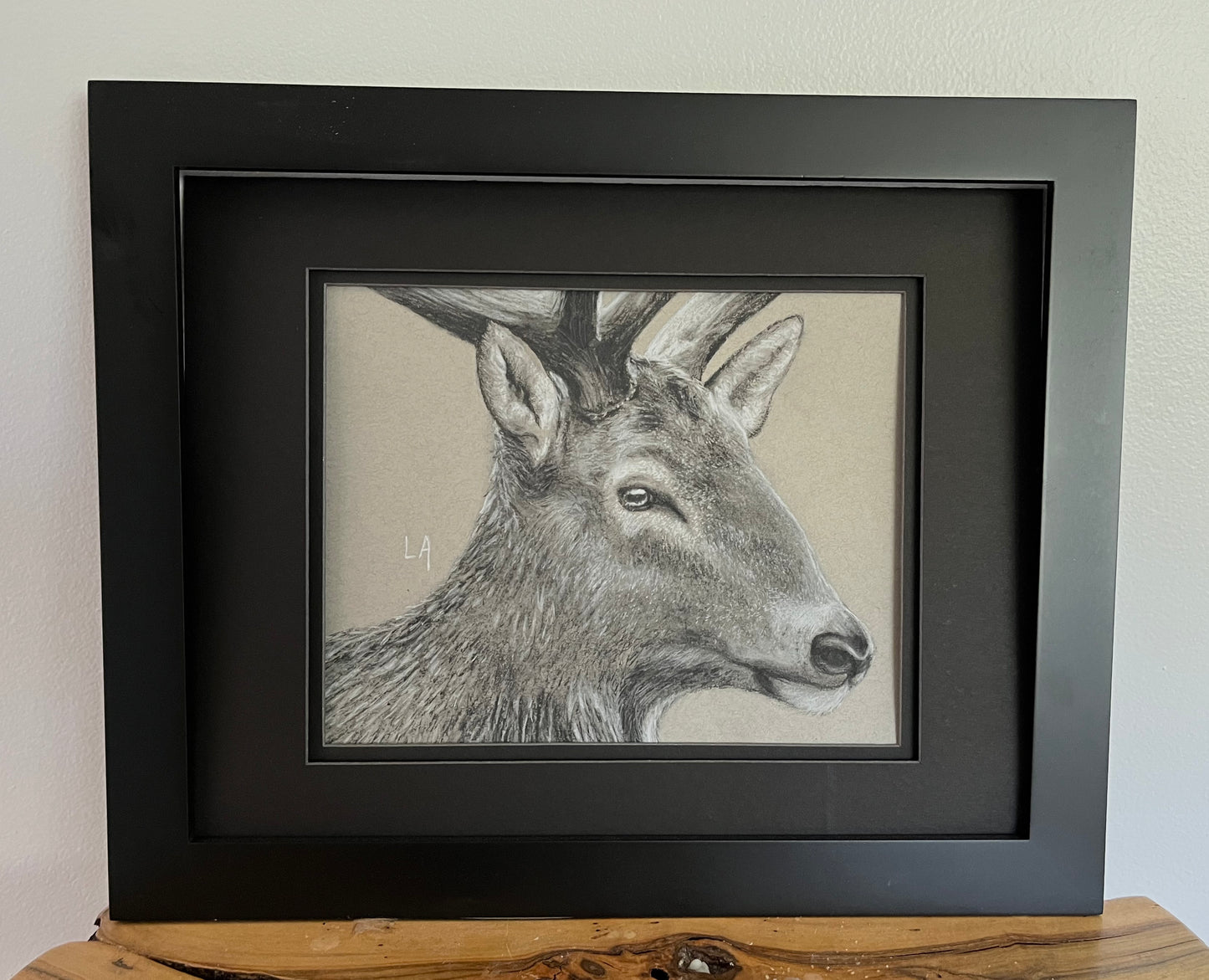 “Grey Ghost”