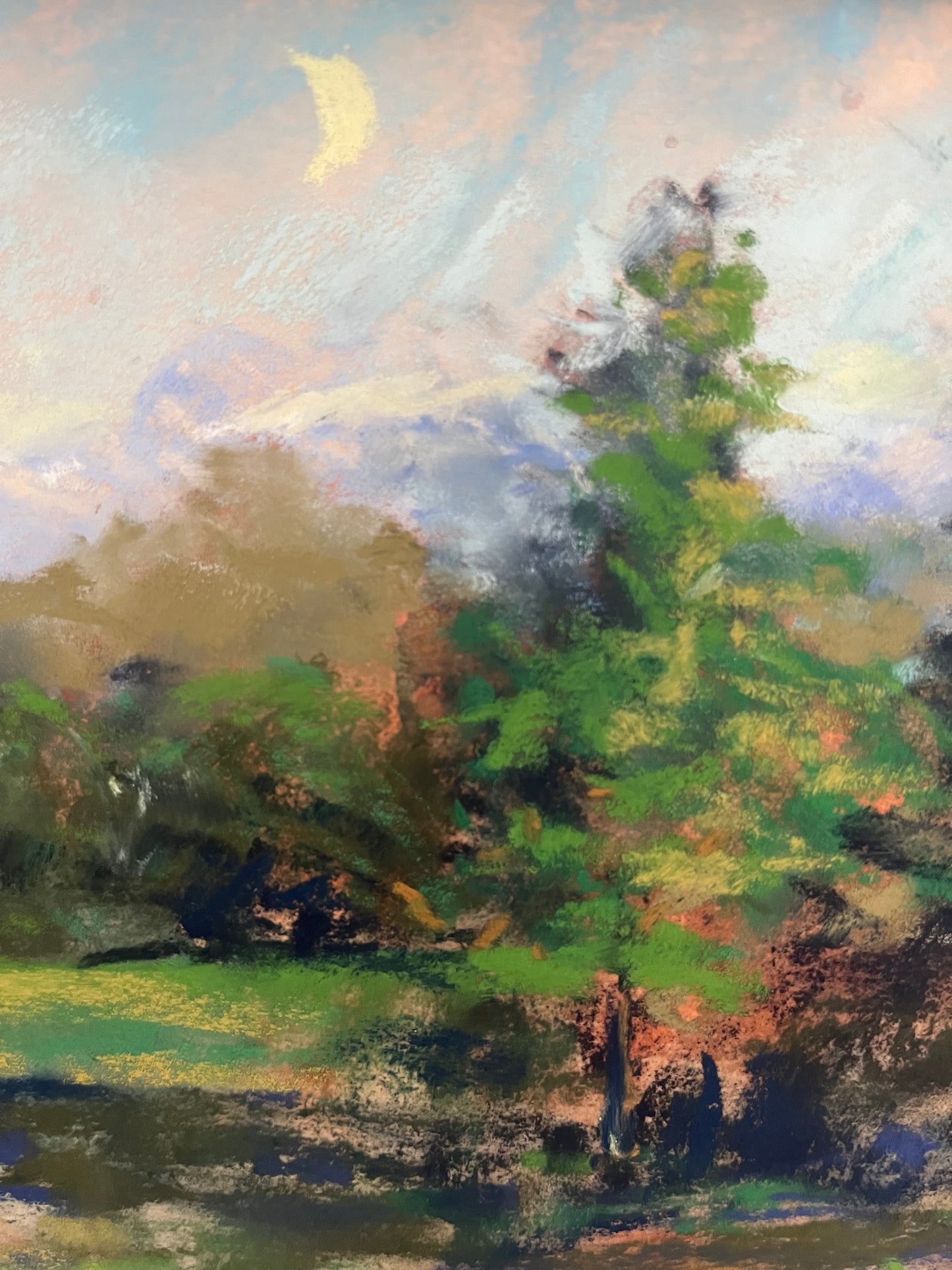 “Wilfred’s Yard”