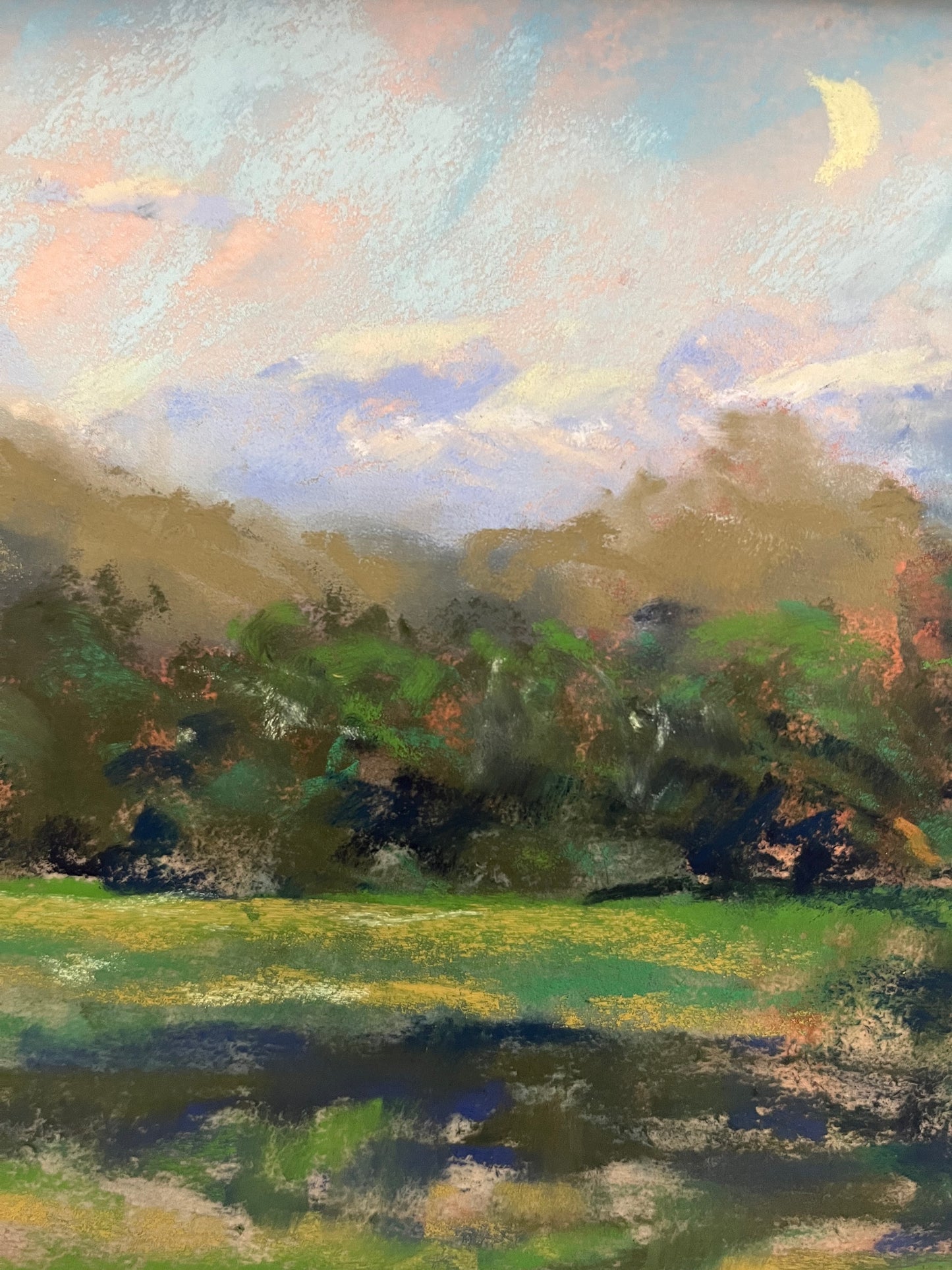 “Wilfred’s Yard”